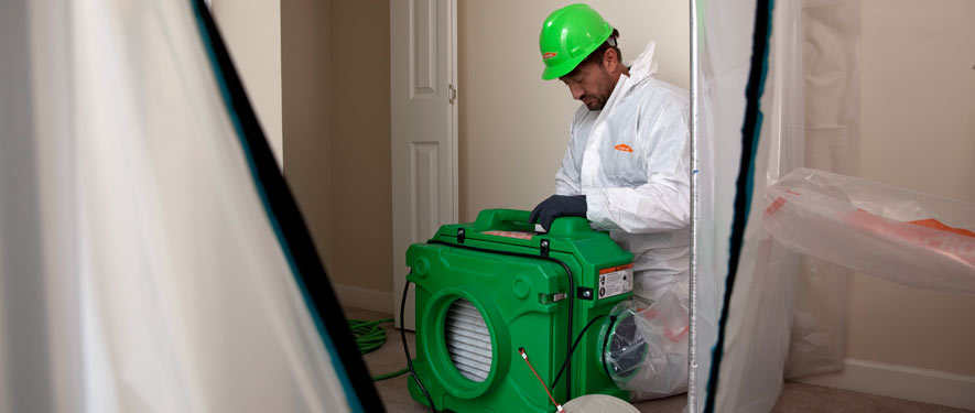 Milwaukie, OR mold cleanup